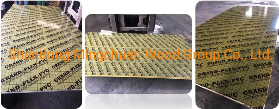 Formwork Plywood Green PP Hardwood Core Plywood PVC Film Faced Plywood